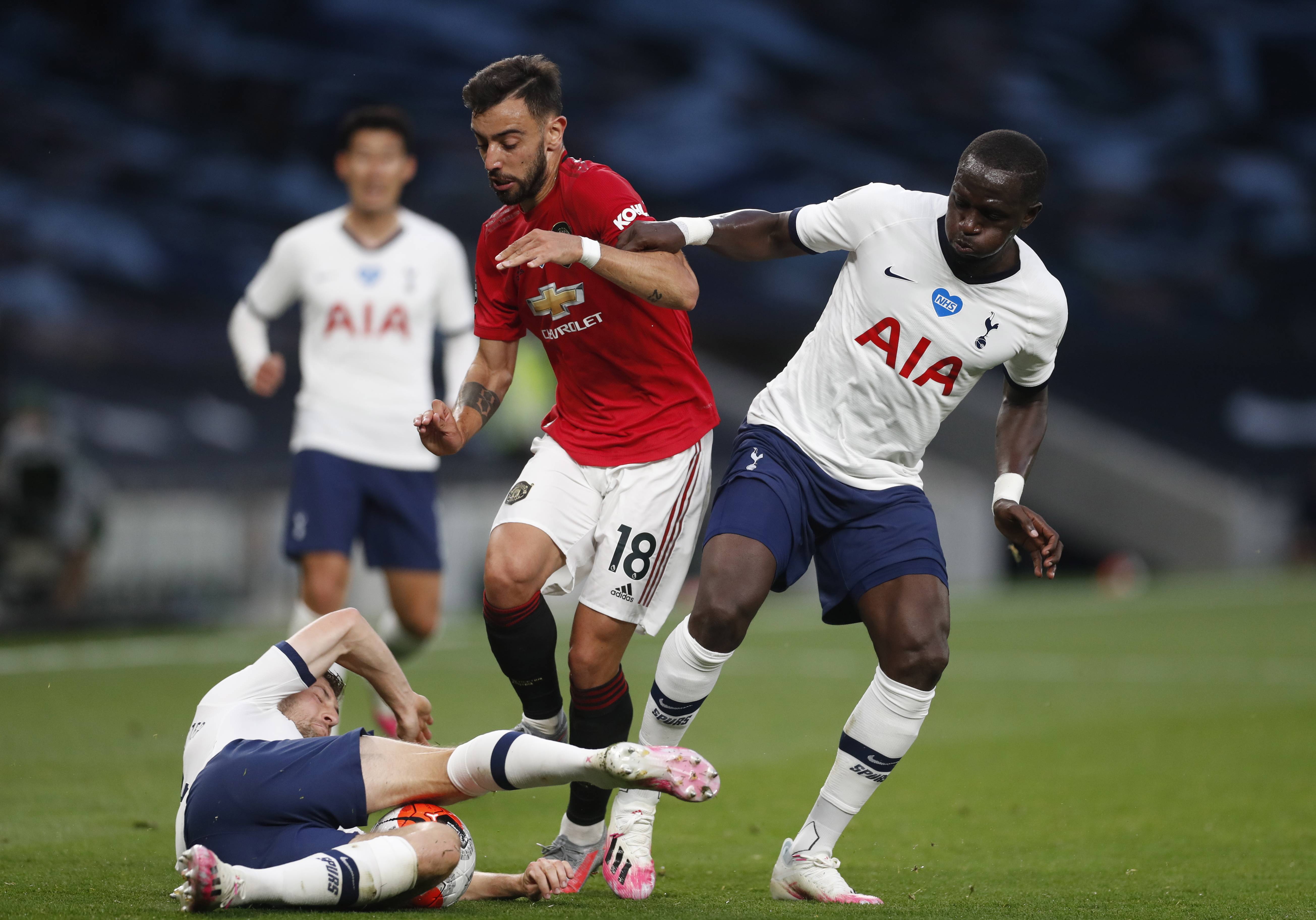 以及坚韧的 以及坚韧的